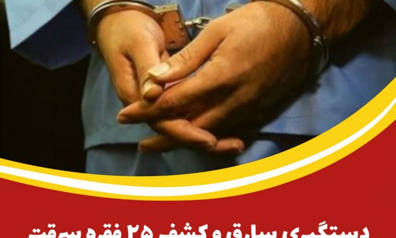 دستگیری سارق و کشف ۲۵ فقره سرقت در آران و بیدگل