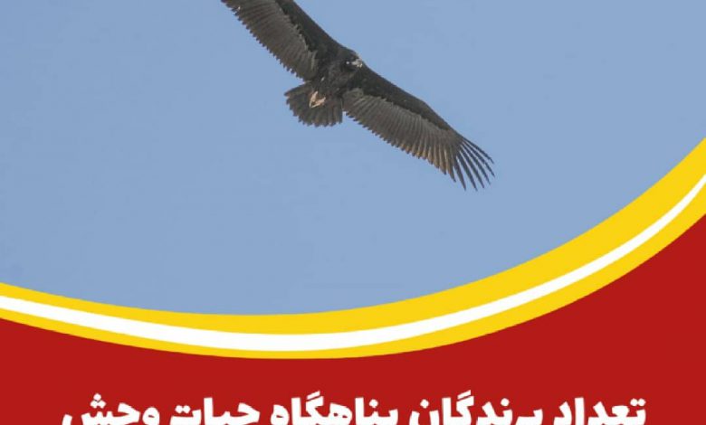 تعداد پرندگان پناهگاه حیات وحش یخاب 110 تایی شد
