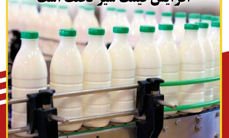 شیر در کاشان فعلا گران نشده است/افزایش قیمت شیر تخلف است